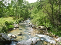 Cipieres - Les Fontaniers - Cipieres - 15 mai
